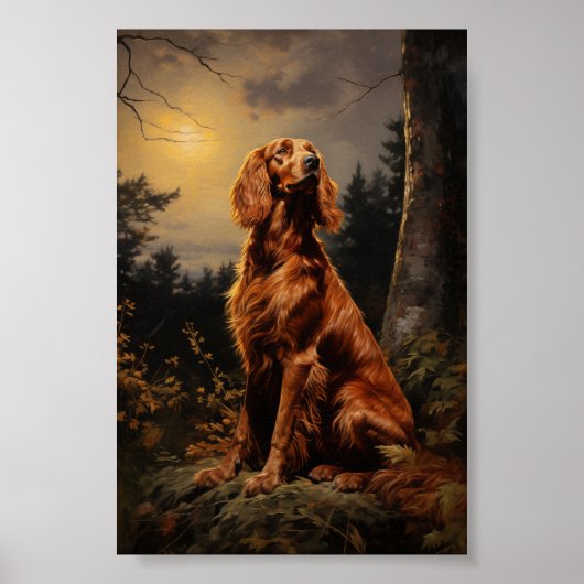 Ierse Setter bij nacht Poster (Voorkant)