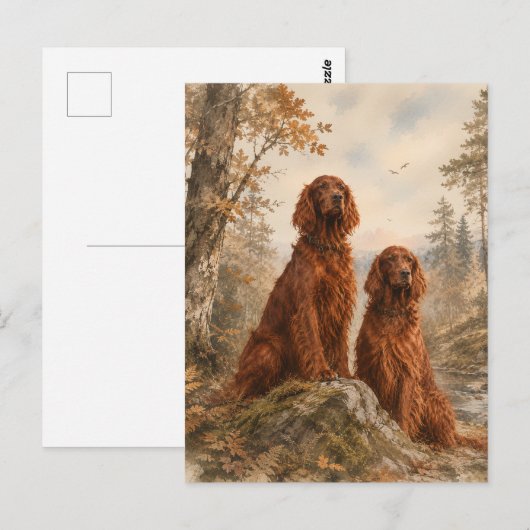 Ierse Setter Briefkaart (Voorkant / Achterkant)