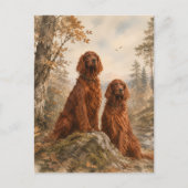 Ierse Setter Briefkaart (Voorkant)