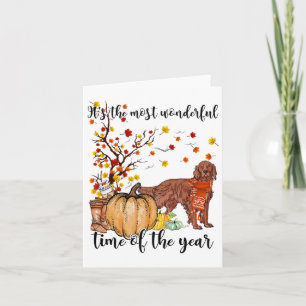 Ierse Setter Herfstpompoenen Herfstblad Boom Kaart