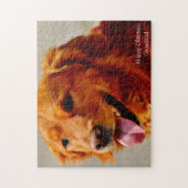 Ierse Setter hond. Legpuzzel (Verticaal)