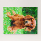 Ierse Setter hond. Legpuzzel (Horizontaal)