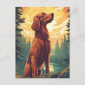 Ierse Setter in het bos tijdens zonsondergang Briefkaart (Voorkant)