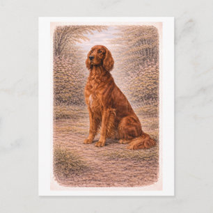Ierse setter in vintage stijl briefkaart