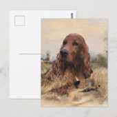 Ierse setter jacht fazant, kunst briefkaart (Voorkant / Achterkant)