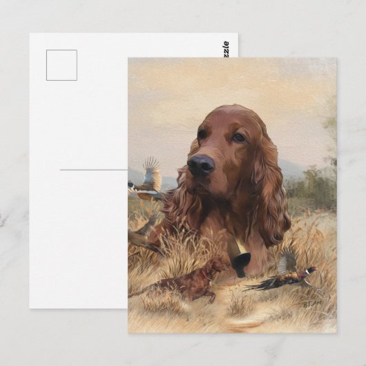 Ierse setter jacht fazant, kunst briefkaart (Voorkant / Achterkant)