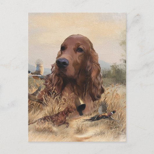 Ierse setter jacht fazant, kunst briefkaart (Voorkant)