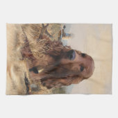 Ierse setter jacht fazant, kunst theedoek (Horizontaal)