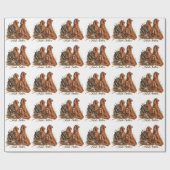 Ierse Setter ,Kunst  Cadeaupapier (Vlak)