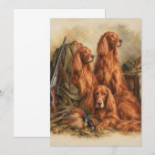 Ierse Setter ,Kunst Kaart (Voorkant / Achterkant)