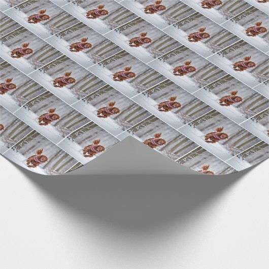 Ierse setter loopt in sneeuw cadeaupapier (Hoek)