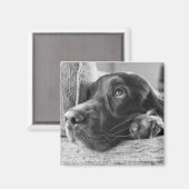 Ierse setter magneet (Voorkant / Achterkant)