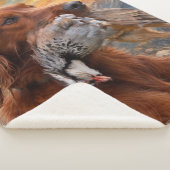 Ierse Setter met Chukar Patrijs ,Kunst Sherpa Deken (3/4)