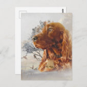 Ierse setter met fazant briefkaart (Voorkant / Achterkant)