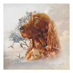 Ierse setter met fazant foto afdruk