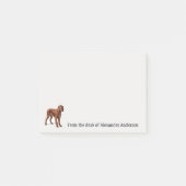 Ierse Setter Personaliseren Post-it® Notes (Voorkant)