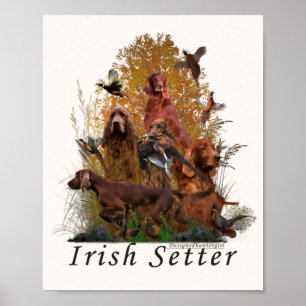 Ierse setter  poster