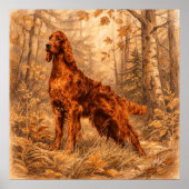 Ierse Setter,  Poster (Voorkant)