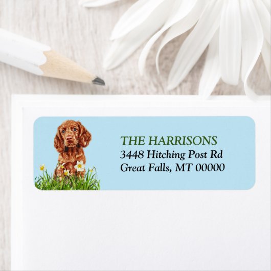 Ierse Setter Puppy Daffodil Garden Retouradres Etiket (Insitu)