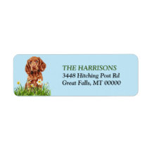 Ierse Setter Puppy Daffodil Garden Retouradres