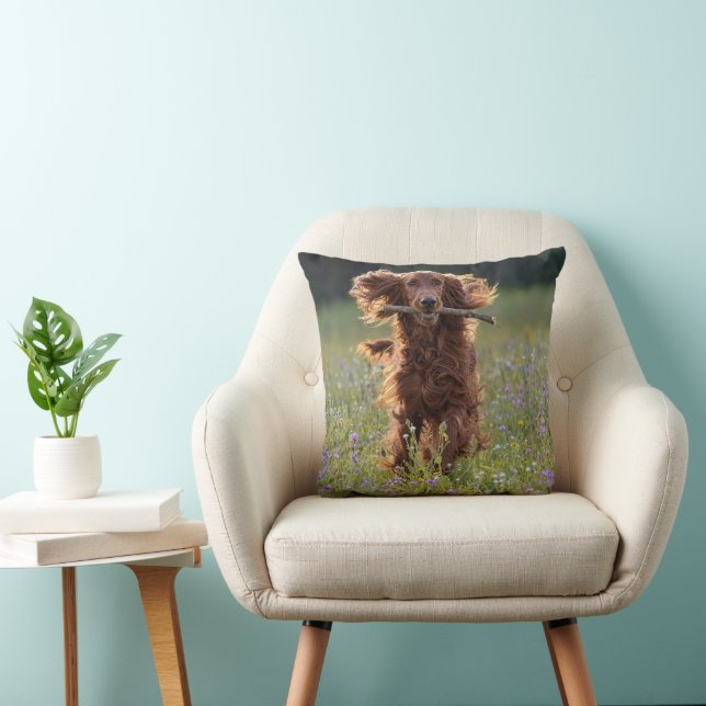 Ierse Setter Rent met een Stok Kussen (Stoel)