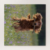 Ierse Setter Rent met een Stok Legpuzzel (Horizontaal)