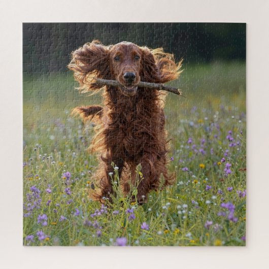 Ierse Setter Rent met een Stok Legpuzzel (Verticaal)