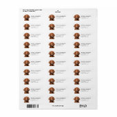Ierse setter retour adreslabels etiket (Full Sheet)