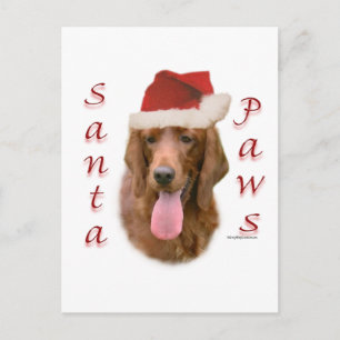 Ierse Setter Santa Paws Feestdagenkaart