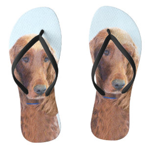 Ierse Setter Schilderij - Mooie Originele Honden K Teenslippers
