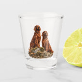 Ierse Setter Shot Glas (Voorkant)