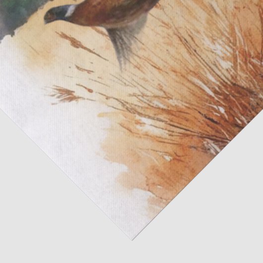 Ierse Setter Tissuepapier (Detail)