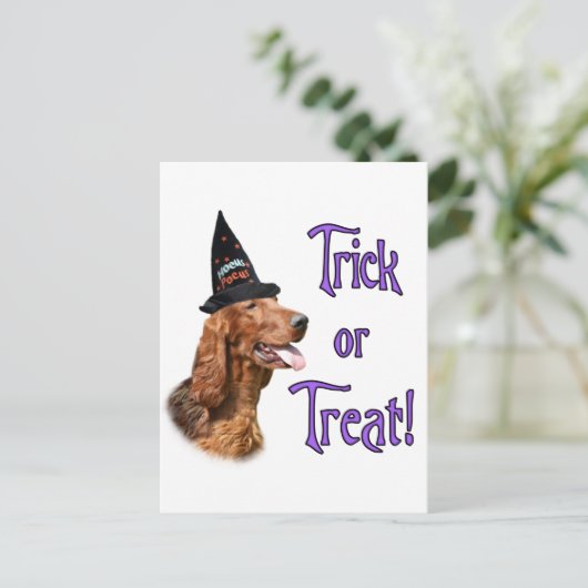 Ierse Setter Trick Briefkaart (Staand voorkant)