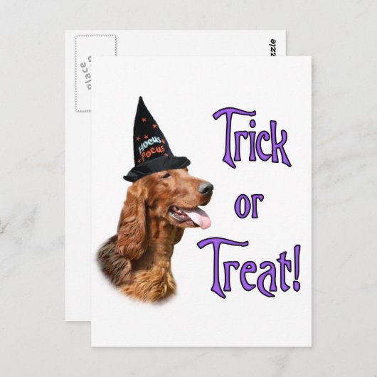 Ierse Setter Trick Briefkaart (Voorkant / Achterkant)