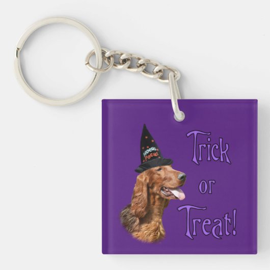 Ierse Setter Trick Sleutelhanger (Voorkant)
