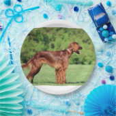 Ierse setter vol 2 papieren bordje (Feest)