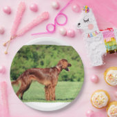Ierse setter vol 2 papieren bordje (Feest)
