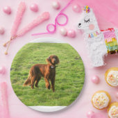 Ierse setter vol 2 papieren bordje (Feest)