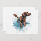 Ierse setter Watersport Briefkaart (Voorkant / Achterkant)