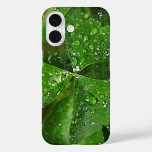 Ierse Shamrock met waterdruppels iPhone 16 Hoesje
