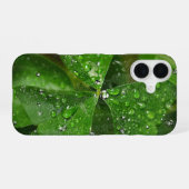 Ierse Shamrock met waterdruppels iPhone 16 Hoesje (Achterkant horizontaal)
