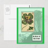 Ierse shamrocks briefkaart (Voorkant / Achterkant)