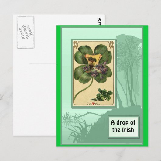 Ierse shamrocks briefkaart (Voorkant / Achterkant)