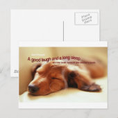 Ierse spreuk en slapende hond briefkaart (Voorkant / Achterkant)