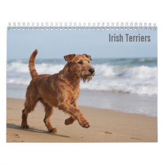 Ierse Terrier 2027 Kalender