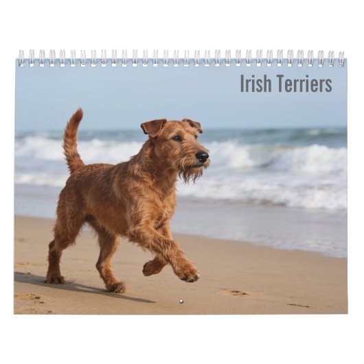 Ierse Terrier 2027 Kalender (Hoes)