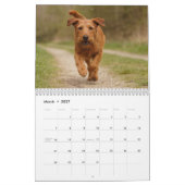 Ierse Terrier 2027 Kalender (Mar 2027)