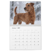 Ierse Terrier 2027 Kalender (Jan 2027)