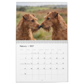 Ierse Terrier 2027 Kalender (Feb 2027)