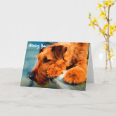 Ierse terrier Dog mist u blanco in notitie Kaart (Gele Bloem)